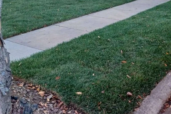 Concrete Services