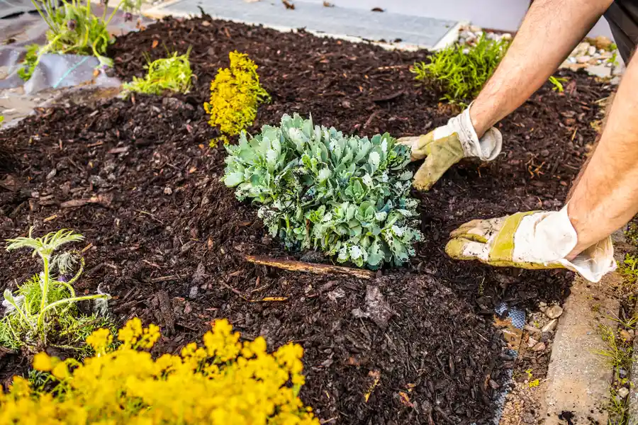 Excellent Mulching Indian Head, MD