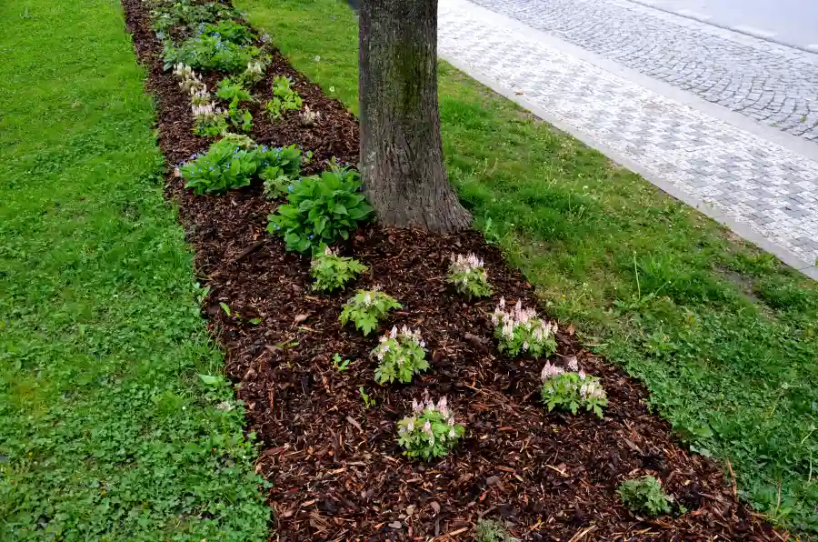 Quality Mulching Indian Head, MD