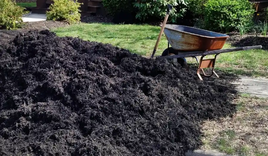 Reliable Mulching Indian Head, MD