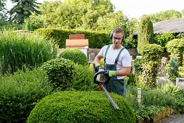 Reliable landscaping services
